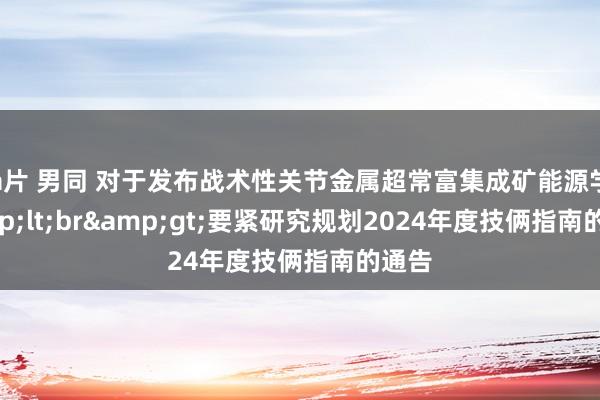 a片 男同 对于发布战术性关节金属超常富集成矿能源学&lt;br&gt;要紧研究规划2024年度技俩指南的通告