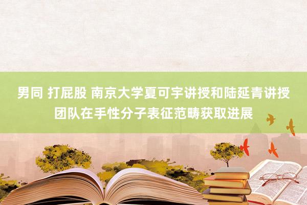 男同 打屁股 南京大学夏可宇讲授和陆延青讲授团队在手性分子表征范畴获取进展