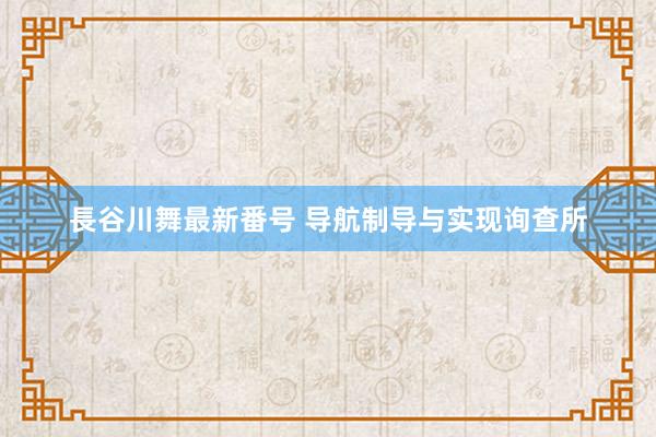 長谷川舞最新番号 导航制导与实现询查所