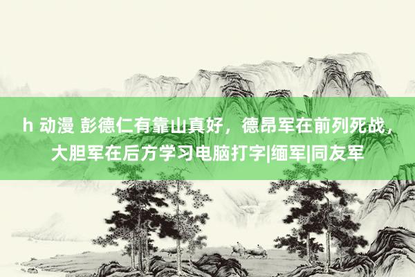 h 动漫 彭德仁有靠山真好，德昂军在前列死战，大胆军在后方学习电脑打字|缅军|同友军