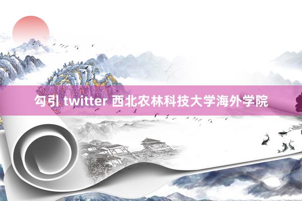 勾引 twitter 西北农林科技大学海外学院