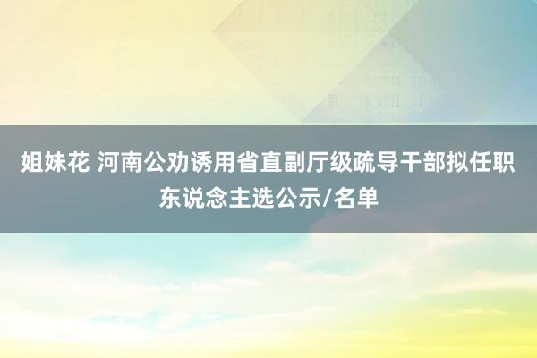 姐妹花 河南公劝诱用省直副厅级疏导干部拟任职东说念主选公示/名单