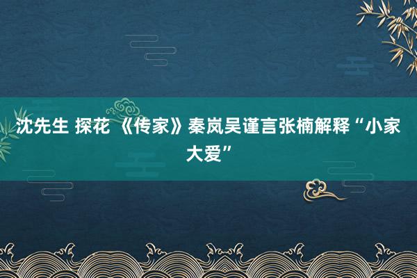 沈先生 探花 《传家》秦岚吴谨言张楠解释“小家大爱”