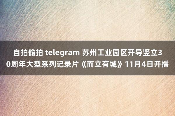 自拍偷拍 telegram 苏州工业园区开导竖立30周年大型系列记录片《而立有城》11月4日开播