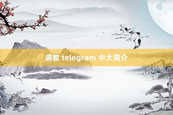 调教 telegram 中大简介