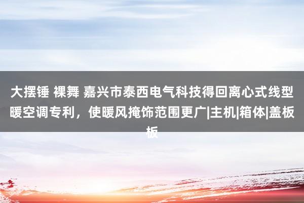 大摆锤 裸舞 嘉兴市泰西电气科技得回离心式线型暖空调专利，使暖风掩饰范围更广|主机|箱体|盖板